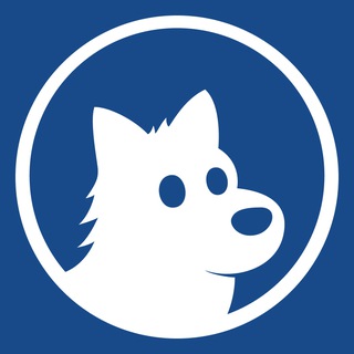 Telegram profile photo for PERRY Global