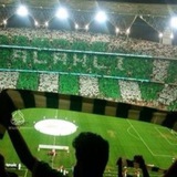 Telegram profile photo for افتارات الاهلي 💚 "