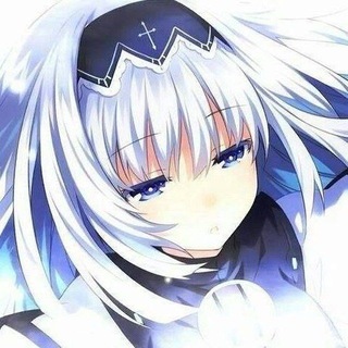 Telegram profile photo for Steilg Channel