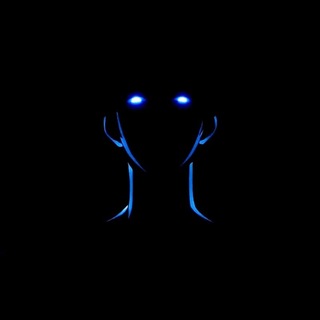 Telegram profile photo for Seekiro_yt