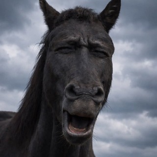 Telegram profile photo for Массаж простаты теперь в Telegram!