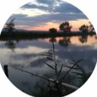 Telegram profile photo for Золотой Карась