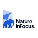 Telegram profile photo for Nature inFocus