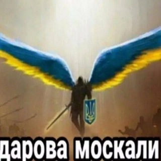 Telegram profile photo for 𓂃 ׅ 𝓢𝝴ׅ𝘃𝝴ׅ𝗻︢︣ 𝗰ׅ𝗳 & 𝗱𐐼ı𝗹ყ