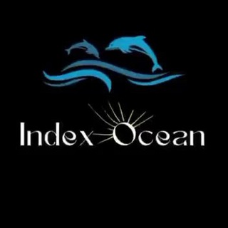 Telegram profile photo for Index Ocean 🐬