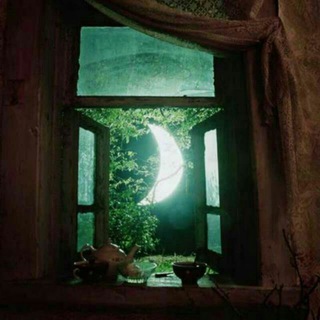 Telegram profile photo for پنجره ای رو به فردا
