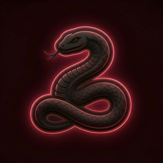 Telegram profile photo for DE3NAKE VPN