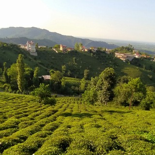 Telegram profile photo for روستای توریستی ورکوره