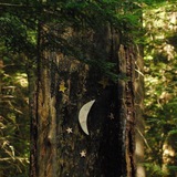 Telegram profile photo for ✶ ; marauders' forest