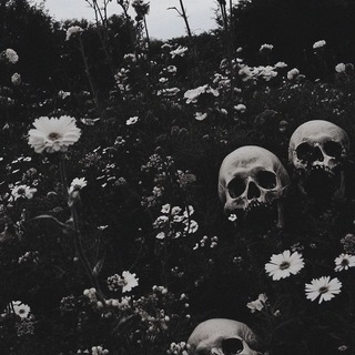 Telegram profile photo for ༒ANTIICON// Plague of siN༒