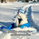 Telegram profile photo for щитпост ура