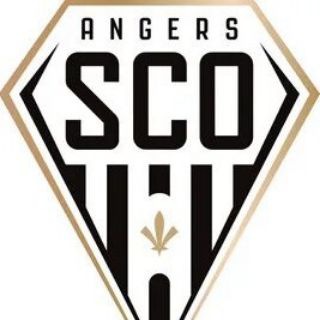Telegram profile photo for ВФК Анже | Angers FC 🤍🖤