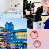 Telegram profile photo for 🏥 Балчуг Клиник 🩺🔬