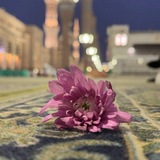 Telegram profile photo for النور