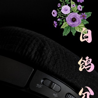Telegram profile photo for 白鸽分享频道