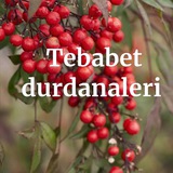 Telegram profile photo for Tababet durdaneleri 🪲🍃🍀