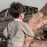 Telegram profile photo for ̶فخــامــه بــدوي ⌯♯メ