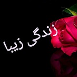 Telegram profile photo for 🌹زندگی زیبا🌹