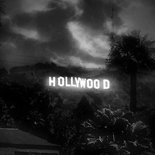 Telegram profile photo for Hollywood
