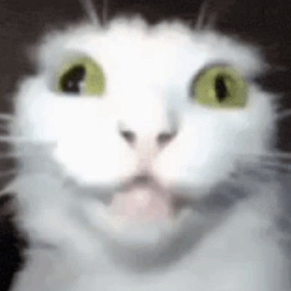 Telegram profile photo for МЫСЛИ СЕРГЕЯ КУКА