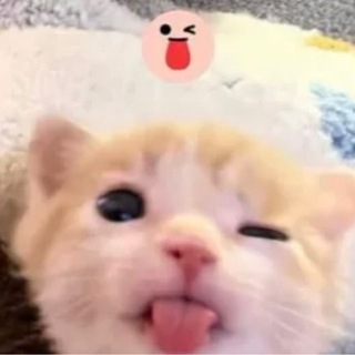 Telegram profile photo for โหเฟ ๐ก๐ฒ๐ด๐ท๐ฎ๐ต๐๐ช ๐๐หโ