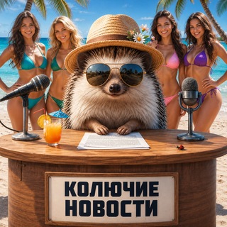 Telegram profile photo for Колючие Новости