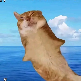 Telegram profile photo for Кисло-сладкий соус🪳