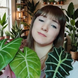 Telegram profile photo for 🌿 Зелёное царство 🌿
