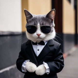 Telegram profile photo for Anonymous winning tek