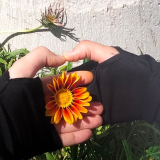 Telegram profile photo for "ليطمئن قلبي"💛🌿