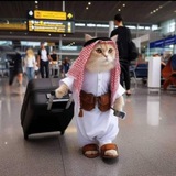 Telegram profile photo for CTO Dubcat