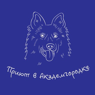 Telegram profile photo for Приют Академгородка