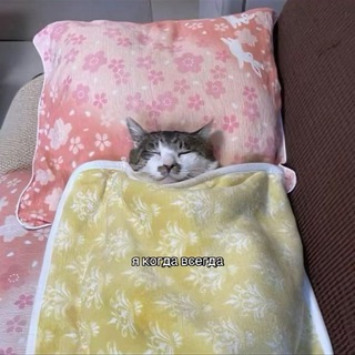 Telegram profile photo for Мемчик на пуджа