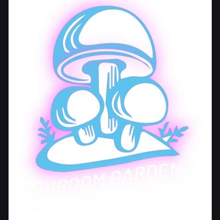 Telegram profile photo for Shroomgarden - Fresh potent Psychedelics Mushrooms and more.