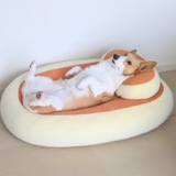 Telegram profile photo for こまち Komachi