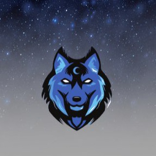 Telegram profile photo for x100 Moon Wolf signals