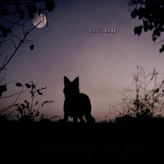 Telegram profile photo for π«ππππ π
πππ