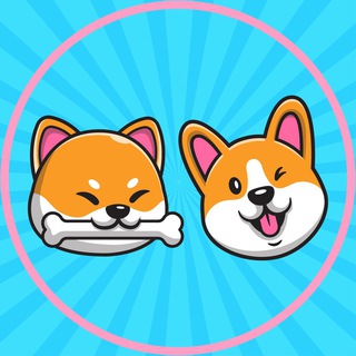 Telegram group profile photo for ShibaCorgi Official
