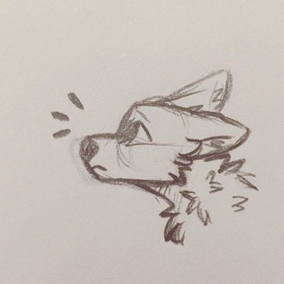 Telegram profile photo for FURRY GAY YIFF🫶
