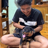 Telegram profile photo for G1 PUBG Mini Market