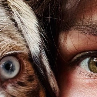 Telegram profile photo for Dog diaries