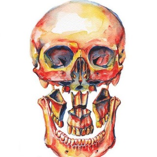 Telegram profile photo for جراحی شیرین و جذاب میشود 😍