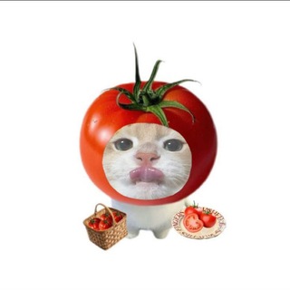 Telegram profile photo for ប៉េងប៉ោះ | 🍅🥗