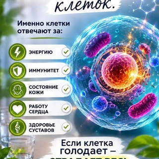 Telegram profile photo for ЕДА БЕЗ ВРЕДА💞🥑