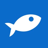 Telegram profile photo for Аквариум мессенджер и блог