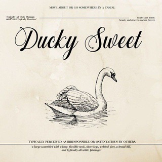 Telegram profile photo for Ducky's