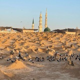 Telegram profile photo for فُــسْحَةٌ