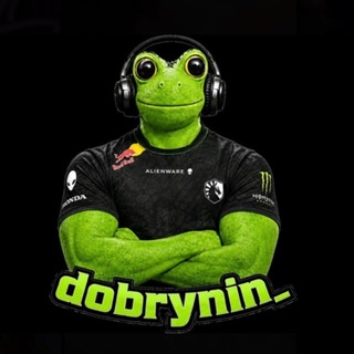 Telegram profile photo for ⭕️ DobryNin Stream ⭕️