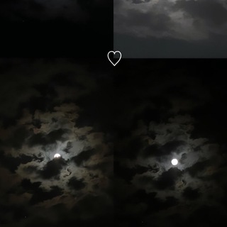 Telegram profile photo for كَاميلياَ .