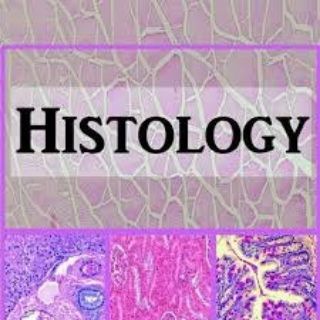 Telegram profile photo for Histology